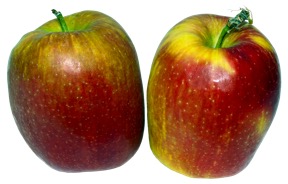 Apples