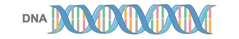 Nutrigenomic Testing